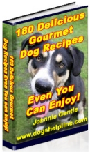 dog recipes