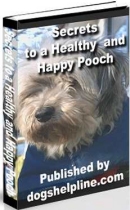 dog health