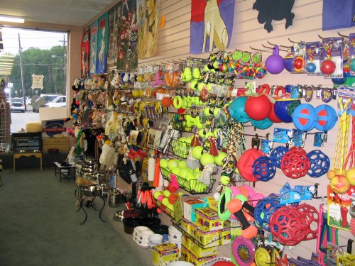 Dog toys, dog games, dog treats 101 ways to spoil your dog.