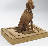 dog bed